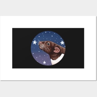 Agouti Hooded Rat Stargazing Posters and Art